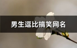 幽默网名能笑死人,盘点那些能笑死人的幽默昵称