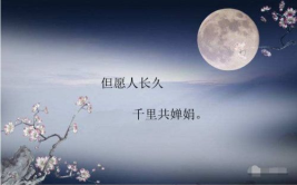 写出描写中秋节的诗句,中秋月圆诗意浓