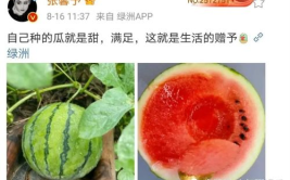今年娱乐的吃瓜事件,揭秘明星幕后风波与网络热议