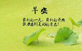 正能量阳光短句,正能量生活点滴”