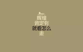 励志经典语录句子大全,励志经典语录的力量与智慧