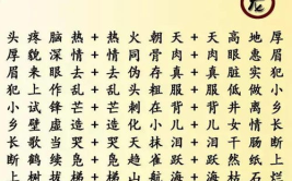 成语接龙1000个,智慧传承一脉相承