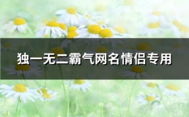 独一无二霸气的网名,揭秘霸气网名的独特魅力
