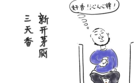 笑话大全爆笑100条100字,笑话大全爆笑100条，欢乐瞬间尽收眼底
