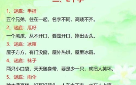 幼儿谜语大全,幼儿谜语大全，开启智慧之门