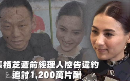 娱乐吃瓜大好人,王冠的璀璨星途与传奇人生